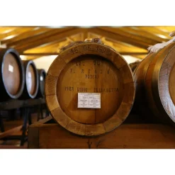 Acetaia Sereni - Classic Tour - Balsamic Vinegar of Modena D.O.P. - Experiences - Guided Tour and Tasting - Daily - Avvenice