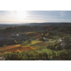 Acetaia Sereni - Classic Tour - Balsamic Vinegar of Modena D.O.P. - Experiences - Guided Tour and Tasting - Daily - Avvenice