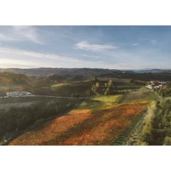 Acetaia Sereni - Exclusive Experience - Guided Tour - Tasting - Balsamic Vinegar of Modena D.O.P. - 3 Days 2 Nights - Avvenice