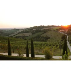 Acetaia Sereni - Exclusive Experience - Guided Tour - Tasting - Balsamic Vinegar of Modena D.O.P. - 3 Days 2 Nights - Avvenice