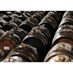 Acetaia Sereni - Exclusive Experience - Guided Tour - Tasting - Balsamic Vinegar of Modena D.O.P. - 2 Days 1 Night - Avvenice