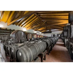 Acetaia Sereni - Exclusive Experience - Guided Tour - Tasting - Balsamic Vinegar of Modena D.O.P. - 2 Days 1 Night - Avvenice