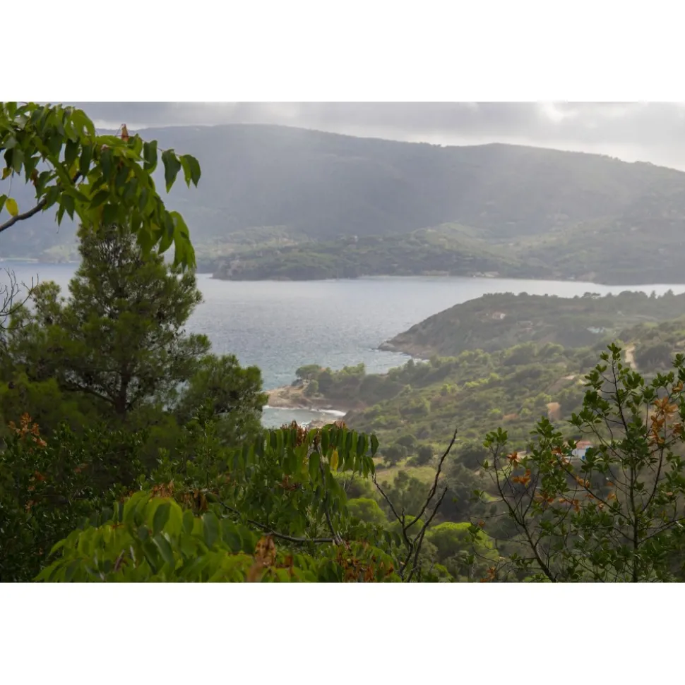 Allegroitalia Elba Capo d'Arco - Infinite Elba Experience - Private Beach - Infinity Pool - 5 Days 4 Nights - Avvenice