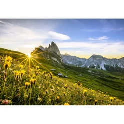 Alpenroyal Grand Hotel - Junior Suite - 3 Days 2 Nights - Exclusive Luxury - Val Gardena - Trentino Italy - Avvenice