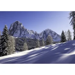 Alpenroyal Grand Hotel - V.I.P. 2 Bedroom Suite - 3 Days 2 Nights - Exclusive Luxury - Val Gardena - Trentino Italy - Avvenice