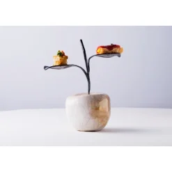 Amistà 33 - Chef Marco Perez - Menù Amistà with Wines - Avvenice