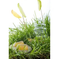 Amistà 33 - Chef Marco Perez - Menù Amistà with Wines - Avvenice