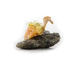 Amistà 33 - Chef Marco Perez - Menù Amistà with Wines - Avvenice