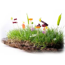 Amistà 33 - Chef Marco Perez - Menù Amistà - Short Walk - Avvenice