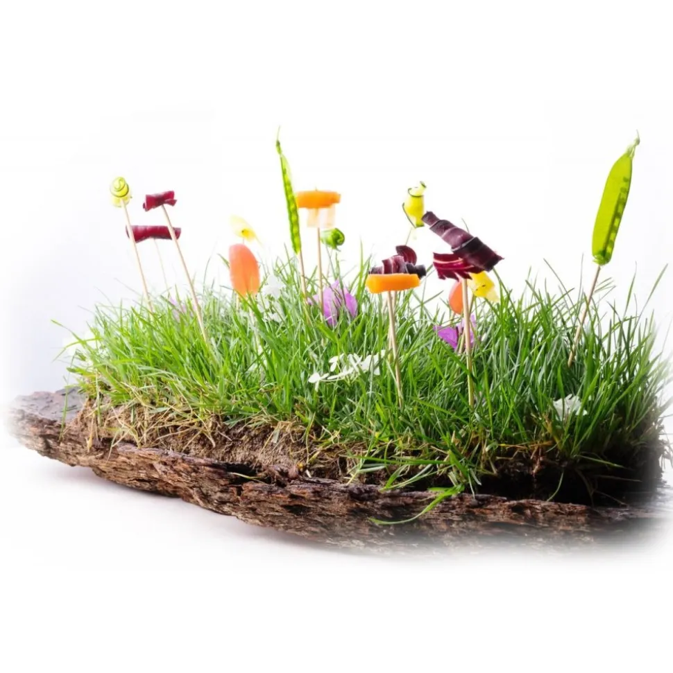 Amistà 33 - Chef Marco Perez - Menù Amistà with Wines - Short Walk - Avvenice