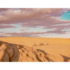 Anantara Sahara Tozeur Resort - Saharan Desert - Star Wars - Royal Villa - 5 Days 4 Nights - Tunisia - Exclusive Luxury - Avvenice