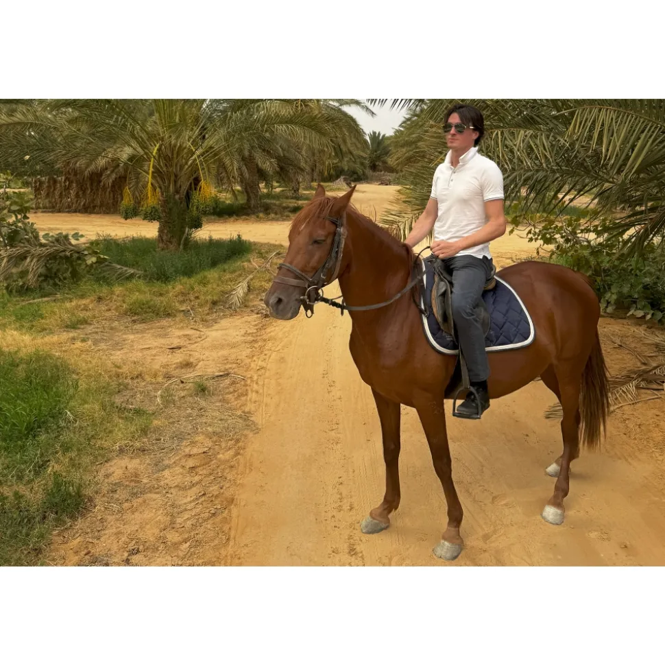 Anantara Sahara Tozeur Resort - Saharan Desert - Star Wars - Deluxe Suite - 5 Days 4 Nights - Tunisia - Exclusive Luxury - Avvenice