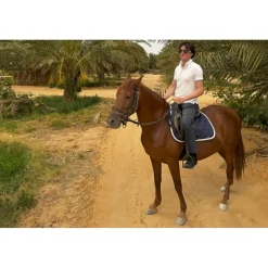 Anantara Sahara Tozeur Resort - Saharan Desert - Star Wars - Pool Villa - 5 Days 4 Nights - Tunisia - Exclusive Luxury - Avvenice