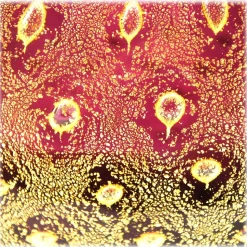 Ars Cenedese Murano - Bollinato Bown 24k Gold - Ruby Normal - Venetian Vase Handmade by Venetian Glassmasters - Luxury - Avvenice