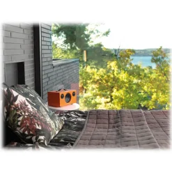 Audio Pro - Addon T5 - Orange - High Quality Speaker - Powered Wireless Speaker - USB, Stereo, Bluetooth, Wireless - Avvenice