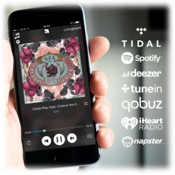 Audio Pro - D-1 - Ash Black - High Quality Speaker - Bluetooth 4.0 - Wireless - USB - Avvenice