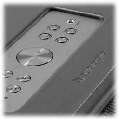 Audio Pro - D-1 - Dusk Grey - High Quality Speaker - Bluetooth 4.0 - Wireless - USB - Avvenice