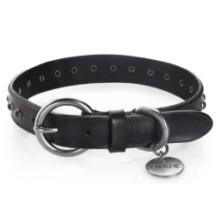 B Wilde Collection - Cabo Collar - Black - Cabo Collection - Leather Collar - High Quality Luxury - Avvenice