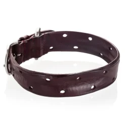 B Wilde Collection - Domino Collar - Bordeaux - Domino Collection - Leather Collar - High Quality Luxury - Avvenice