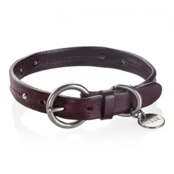 B Wilde Collection - Milo Collar - Bordeaux - Milo Collection - Leather Collar - High Quality Luxury - Avvenice