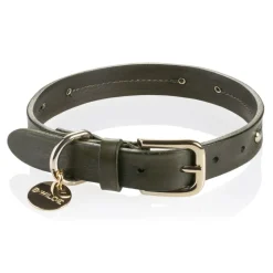 B Wilde Collection - Milo Collar - Olive - Milo Collection - Leather Collar - High Quality Luxury - Avvenice