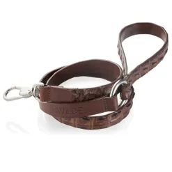 B Wilde Collection - Set Coco - Collar & Leash - Coco Collection - Crocodile Collar - High Quality Luxury - Avvenice
