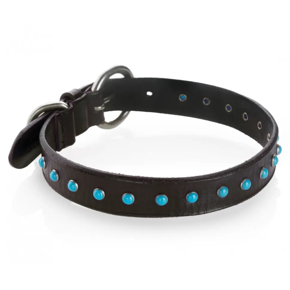 B Wilde Collection - Set Cabo - Collar & Leash - Turquoise - Cabo Collection - Leather Collar - High Quality Luxury - Avvenice