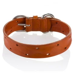 B Wilde Collection - Set Domino - Biscuit - Collar & Leash - Domino Collection - Leather Collar - High Quality Luxury - Avvenice