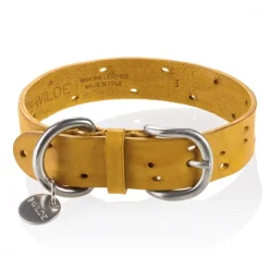 B Wilde Collection - Set Domino - Tuscany Yellow - Collar & Leash - Domino Collection - Leather Collar - High Quality Luxury - Avvenice