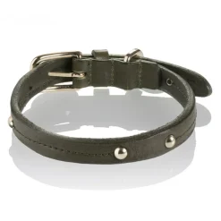 B Wilde Collection - Set Milo - Olive - Collar & Leash - Milo Collection - Leather Collar - High Quality Luxury - Avvenice