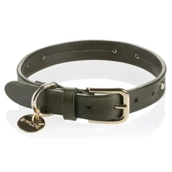 B Wilde Collection - Set Milo - Olive - Collar & Leash - Milo Collection - Leather Collar - High Quality Luxury - Avvenice