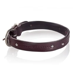 B Wilde Collection - Set Milo - Bordeaux - Collar & Leash - Milo Collection - Leather Collar - High Quality Luxury - Avvenice