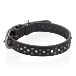 B Wilde Collection - Set Sparky - Collar & Leash - Sparky Collection - Leather Collar - High Quality Luxury - Avvenice