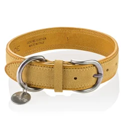 B Wilde Collection - Set Tango - Tuscany Yellow - Collar & Leash - Tango Collection - Leather Collar - High Quality Luxury - Avvenice