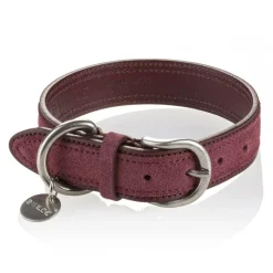 B Wilde Collection - Set Tango - Bordeaux - Collar & Leash - Tango Collection - Leather Collar - High Quality Luxury - Avvenice