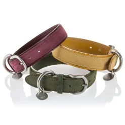 B Wilde Collection - Set Tango - Olive - Collar & Leash - Tango Collection - Leather Collar - High Quality Luxury - Avvenice
