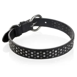 B Wilde Collection - Sparky Collar - Sparky Collection - Leather Collar - High Quality Luxury - Avvenice