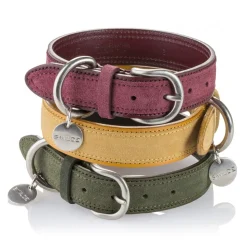 B Wilde Collection - Tango Collar - Olive - Tango Collection - Leather Collar - High Quality Luxury - Avvenice