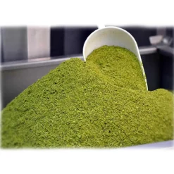 Bacco - Tipicità al Pistacchio - Pistachio Flour in Tub - Sicilian Pistachios - Flour - 1000 g - Avvenice