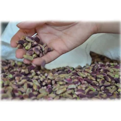 Bacco - Tipicità al Pistacchio - Shelled Pistachio in Tub - Sicilian Pistachios - Dried Fruit - 1000 g - Avvenice