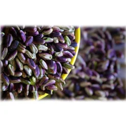 Bacco - Tipicità al Pistacchio - Shelled Pistachio in Tub - Sicilian Pistachios - Dried Fruit - 1000 g - Avvenice