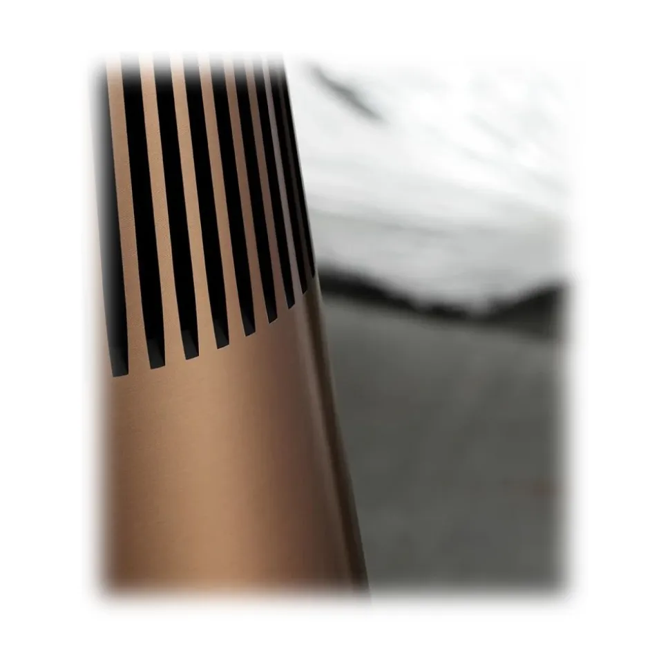 Bang & Olufsen - B&O Play - Beosound 2 with the Google Assistant - Brass Tone - High Quality Speaker - Avvenice