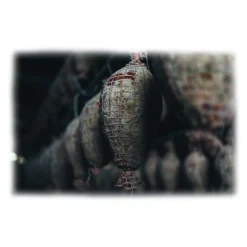 Bontà di Fiore - Ventricina del Vastese - Quarter - Presidio Slow Food - 300 g - Avvenice