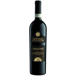 Bottega - Amarone of Valpolicella D.O.C.G. Bottega - The Wine of Gods - Red Wines - Avvenice