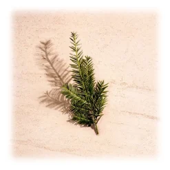 Bottega Veneta - Illusion For Him - Eau de Toilette - Italy - Beauty - Fragrances - Luxury - 50 ml - Avvenice