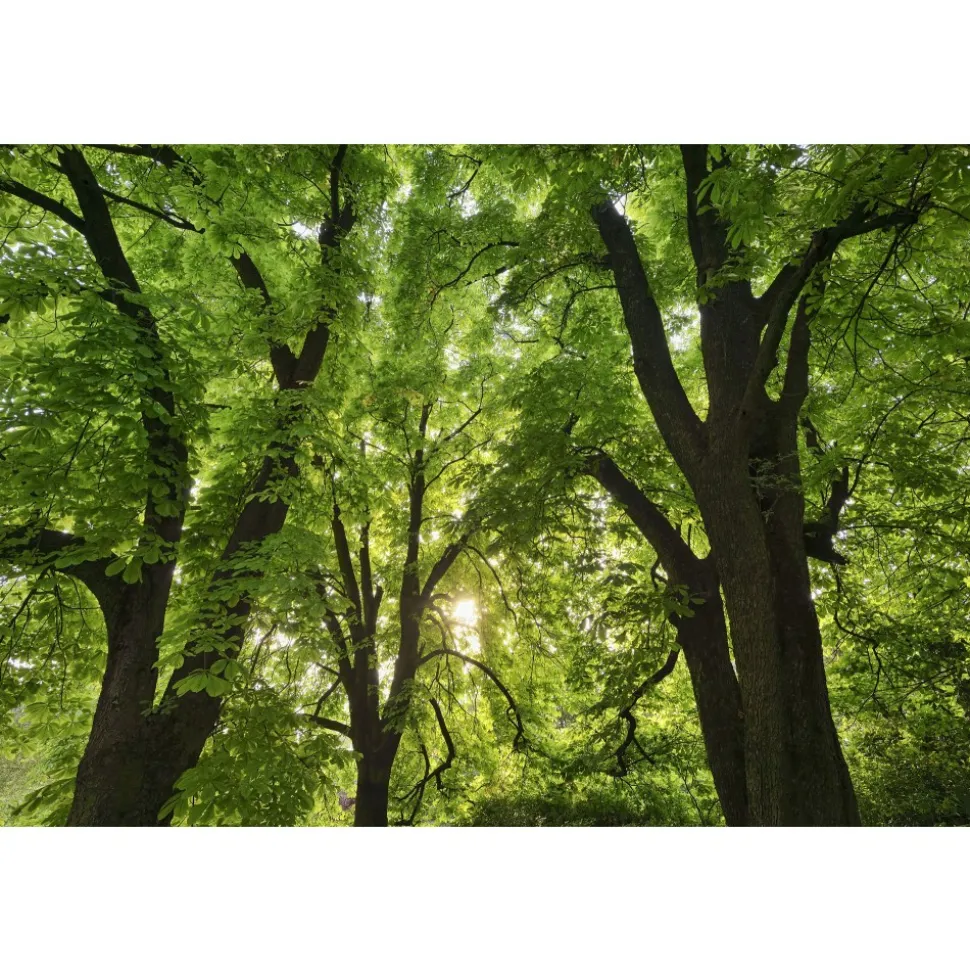 Byblos Art Hotel - Villa Amistà - Amarone Flavours - 4 Days 3 Nights - Avvenice