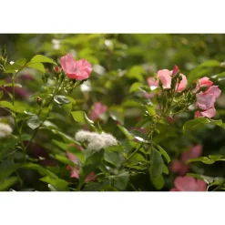 Byblos Art Hotel - Villa Amistà - Amarone Flavours - 4 Days 3 Nights - Avvenice