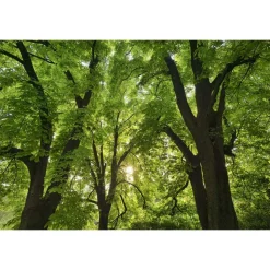 Byblos Art Hotel - Villa Amistà - Art Lovers - 3 Days 2 Nights - Avvenice