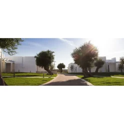 Cala Ponte Resort & Spa - Calaponte Marina - 4 Days 3 Nights - Avvenice