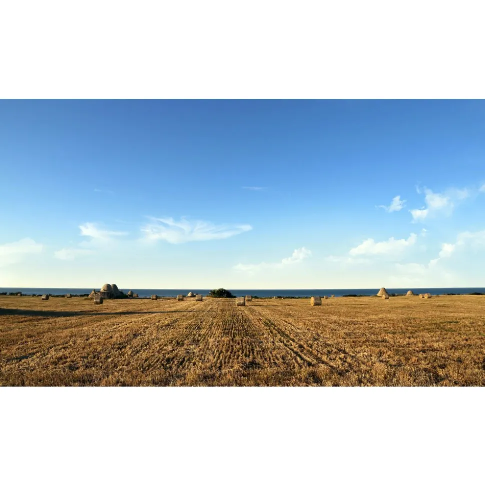 Cala Ponte Resort & Spa - Calaponte Marina - 4 Days 3 Nights - Avvenice